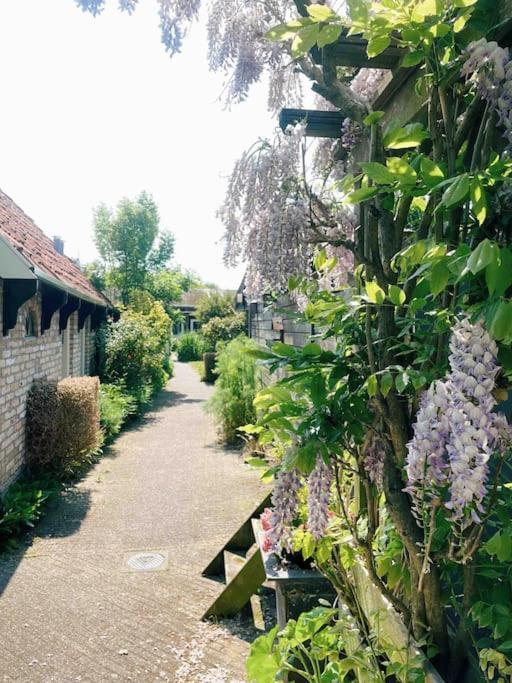 Uniek Vakantieverblijf Den Burg Ngoại thất bức ảnh